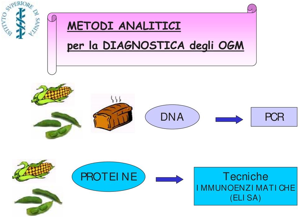 DNA PCR PROTEINE