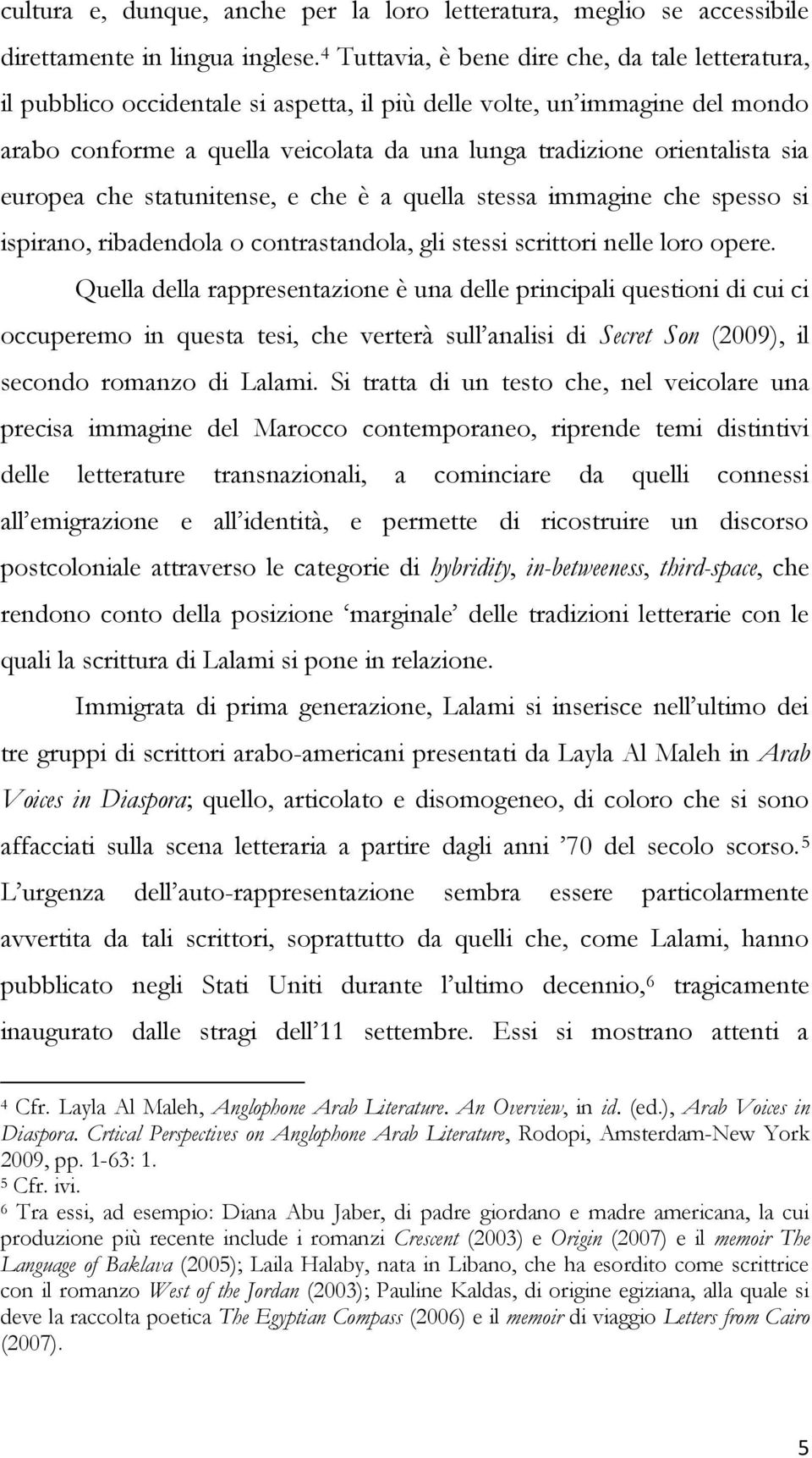 sia europea che statunitense, e che è a quella stessa immagine che spesso si ispirano, ribadendola o contrastandola, gli stessi scrittori nelle loro opere.