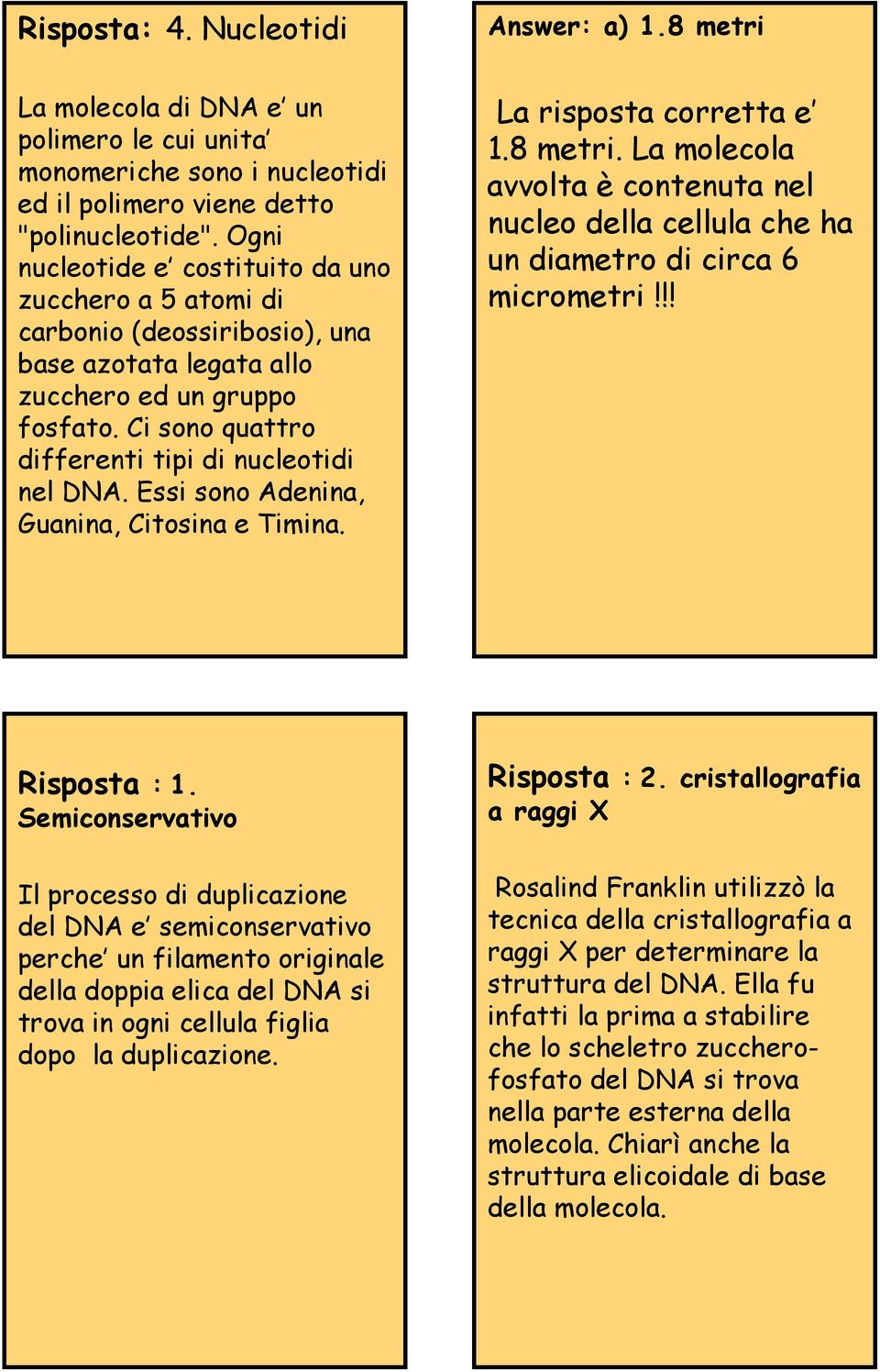 Essi sono Adenina, Guanina, Citosina e Timina. La risposta corretta e 1.8 metri. La molecola avvolta è contenuta nel nucleo della cellula che ha un diametro di circa 6 micrometri!!! Risposta : 1.