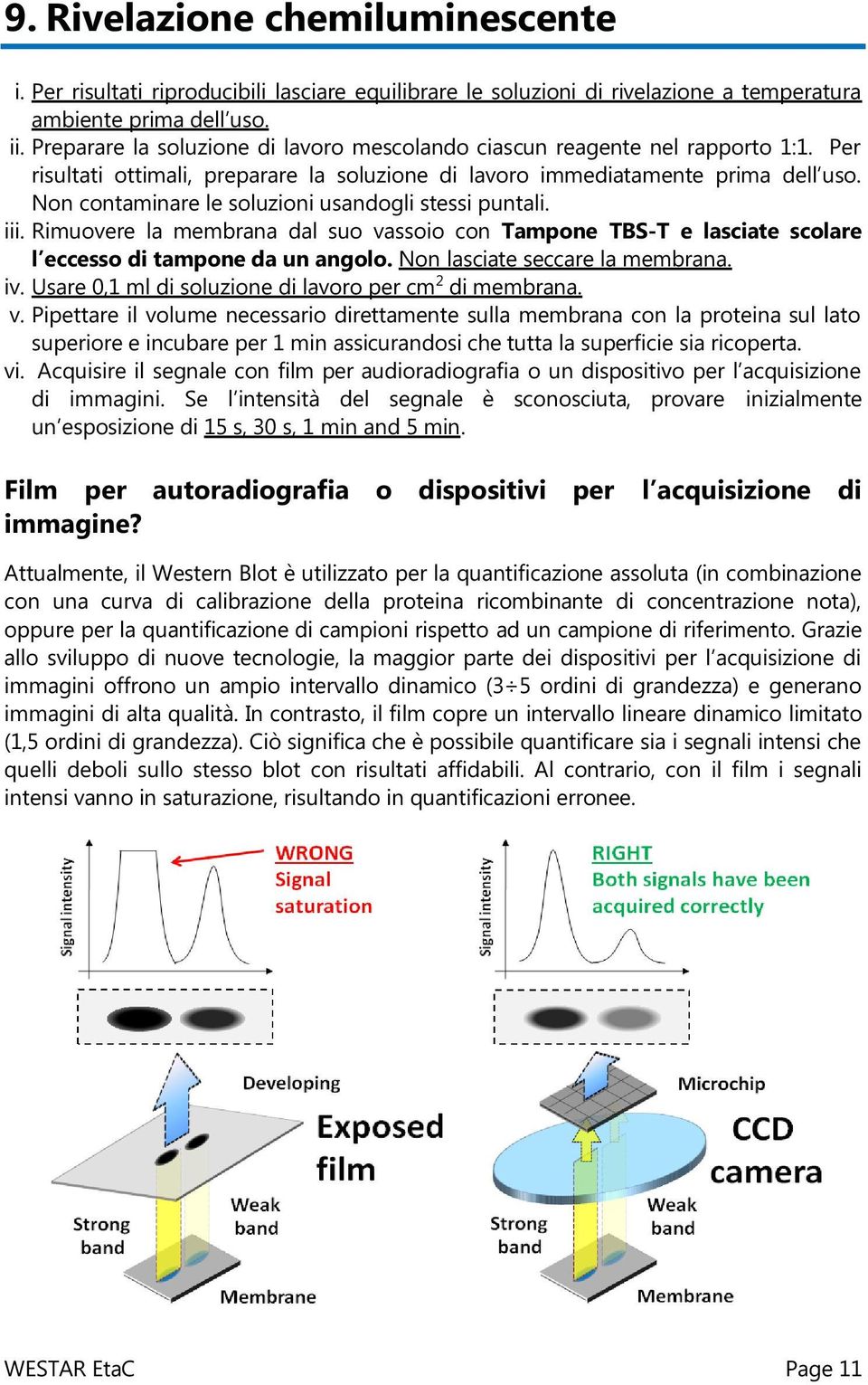 Non contaminare le soluzioni usandogli stessi puntali. iii. Rimuovere la membrana dal suo vassoio con Tampone TBS-T e lasciate scolare l eccesso di tampone da un angolo.