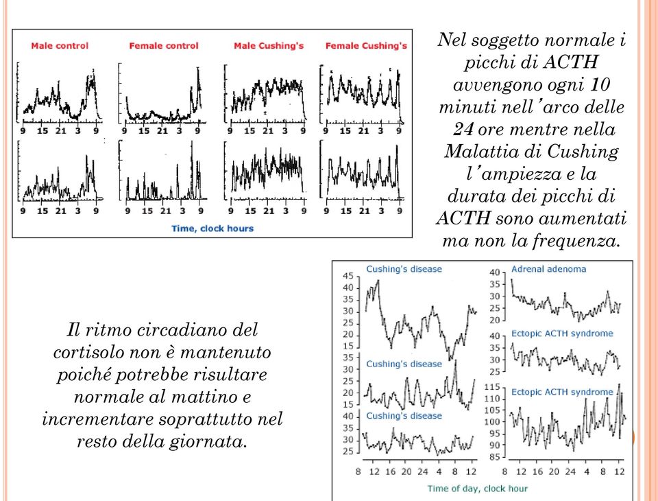 Nel soggetto normale i picchi di ACTH avvengono ogni 10 minuti nell arco delle 24 ore