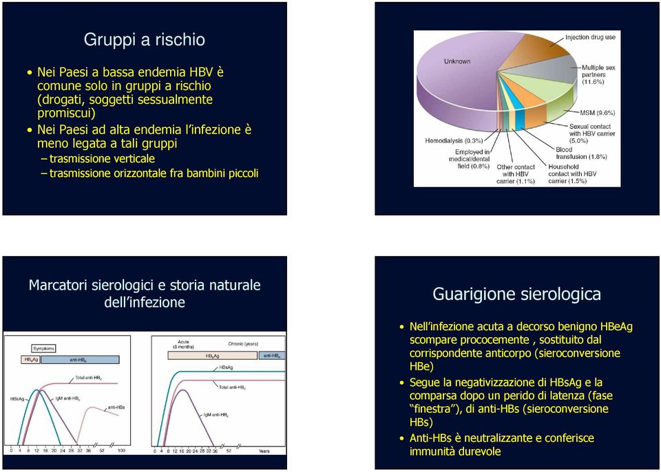 sierologica Nell infezione acuta a decorso benigno HBeAg scompare prococemente, sostituito dal corrispondente anticorpo (sieroconversione HBe) Segue la