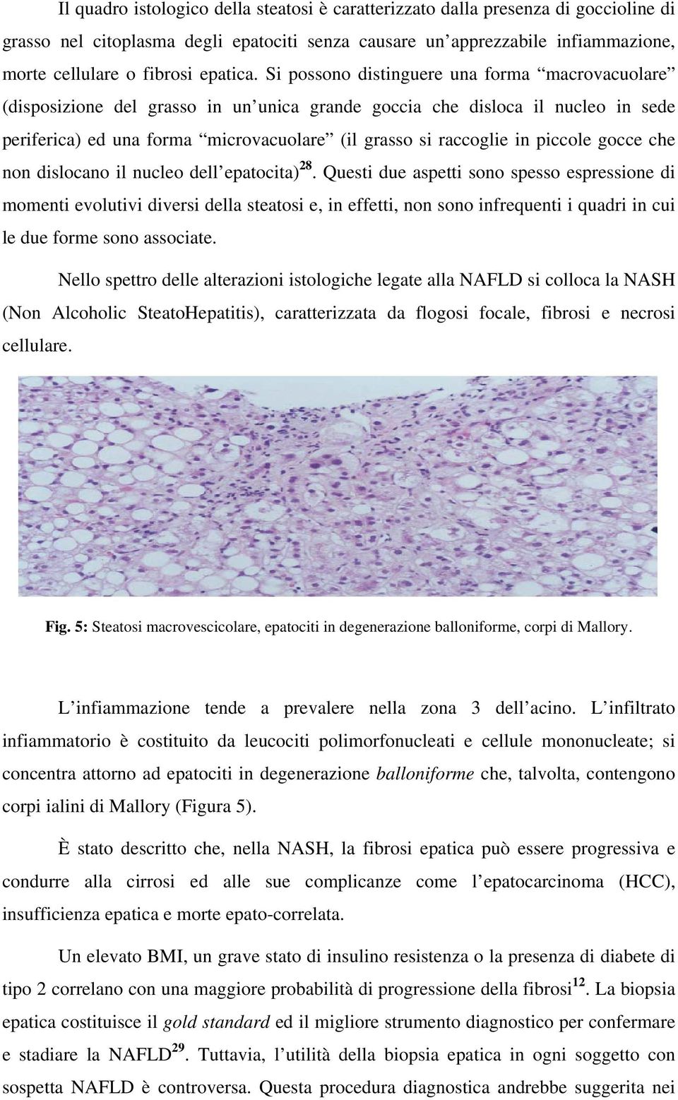 Si possono distinguere una forma macrovacuolare (disposizione del grasso in un unica grande goccia che disloca il nucleo in sede periferica) ed una forma microvacuolare (il grasso si raccoglie in