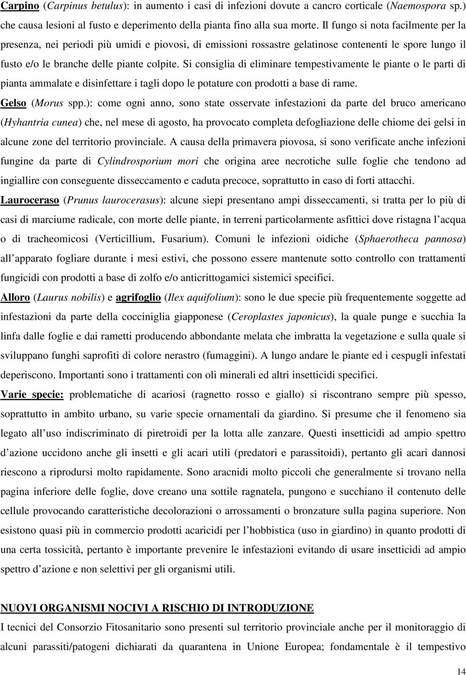 Si consiglia di eliminare tempestivamente le piante o le parti di pianta ammalate e disinfettare i tagli dopo le potature con prodotti a base di rame. Gelso (Morus spp.