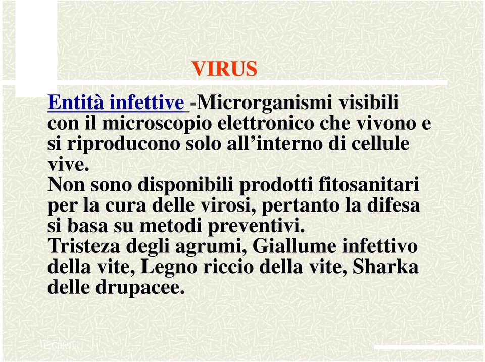 Non sono disponibili ibili prodotti fitosanitari i per la cura delle virosi, pertanto la