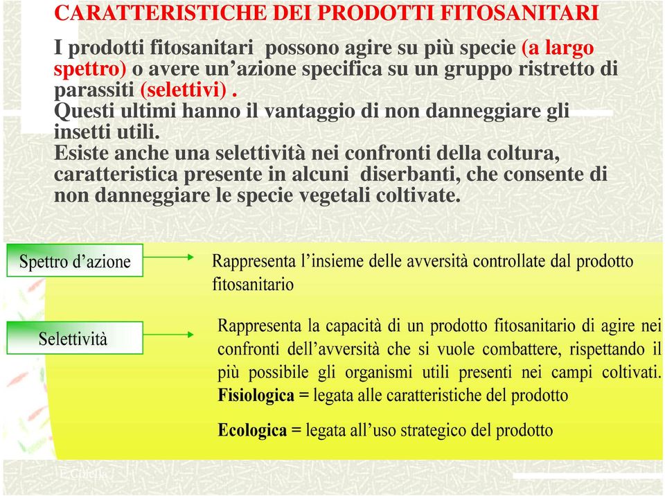 Questi ultimi hanno il vantaggio di non danneggiare gli insetti i utili.