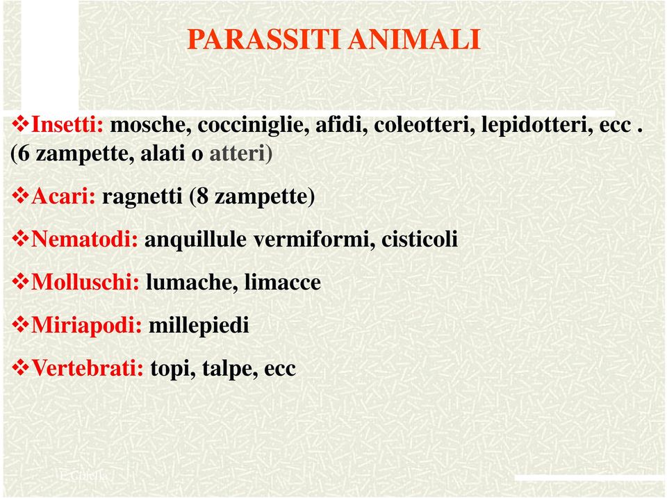 (6 zampette, alati o atteri) Acari: ragnetti (8 zampette)