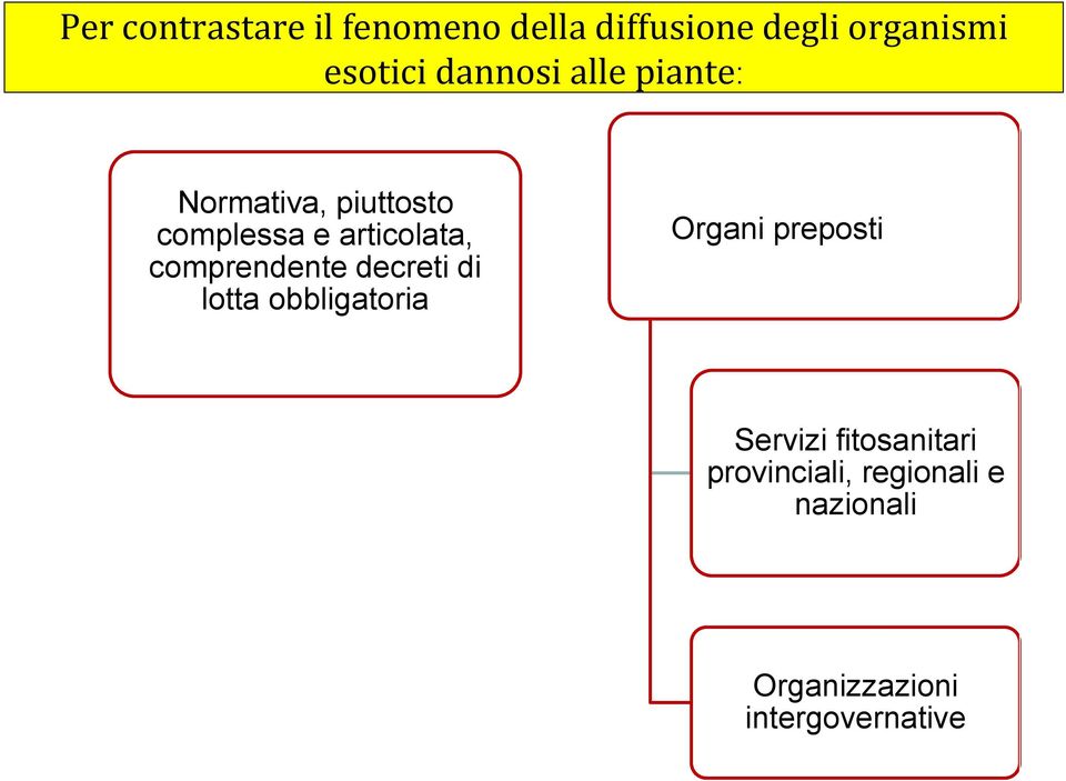 comprendente decreti di lotta obbligatoria Organi preposti Servizi