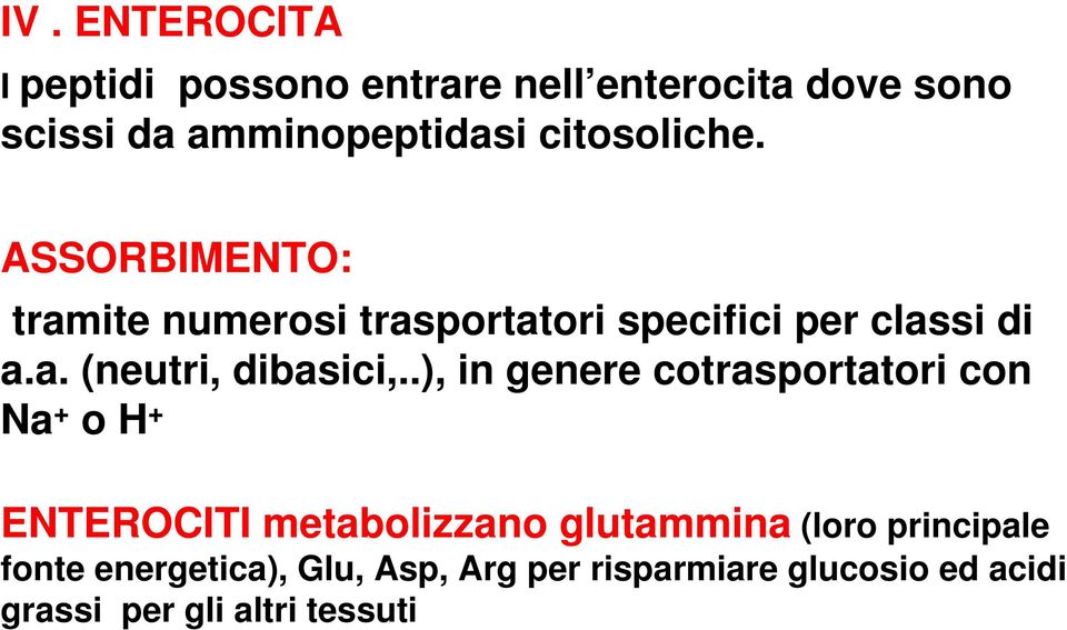 .), in genere cotrasportatori con Na + o H + ENTEROCITI metabolizzano glutammina (loro principale
