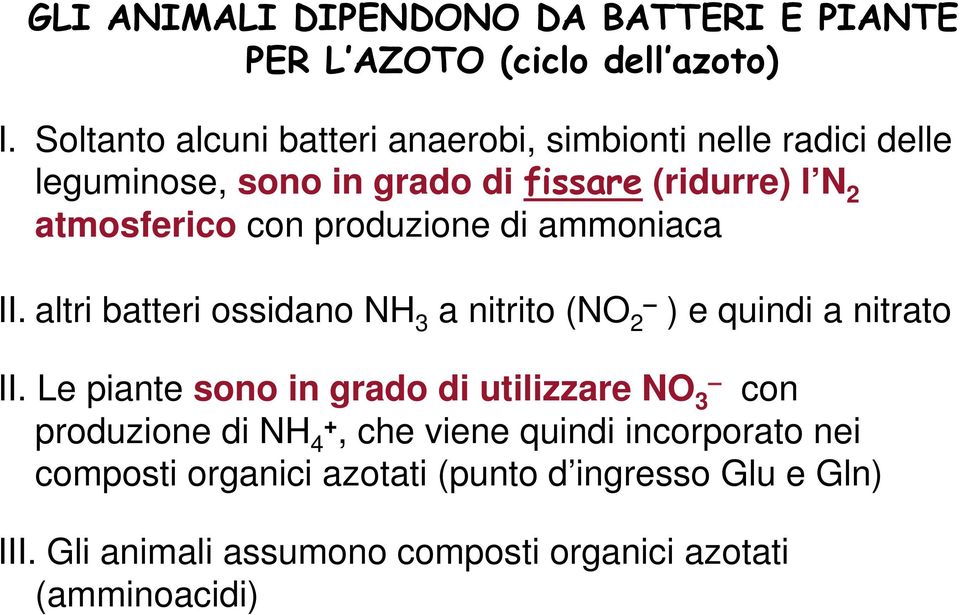 produzione di ammoniaca II. altri batteri ossidano NH 3 a nitrito (NO 2 ) e quindi a nitrato II.