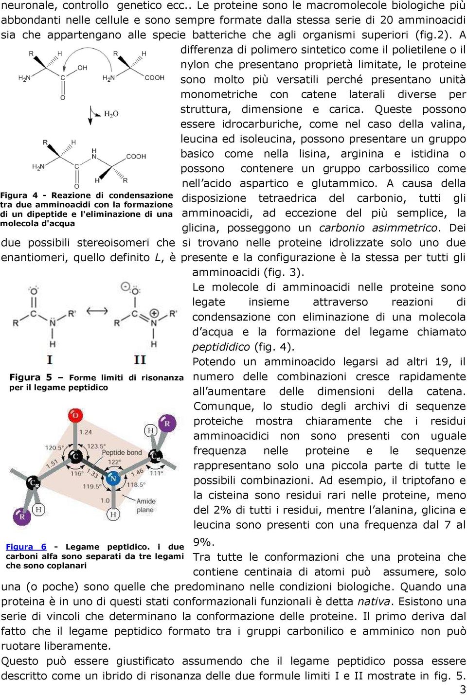 superiori (fig.2).