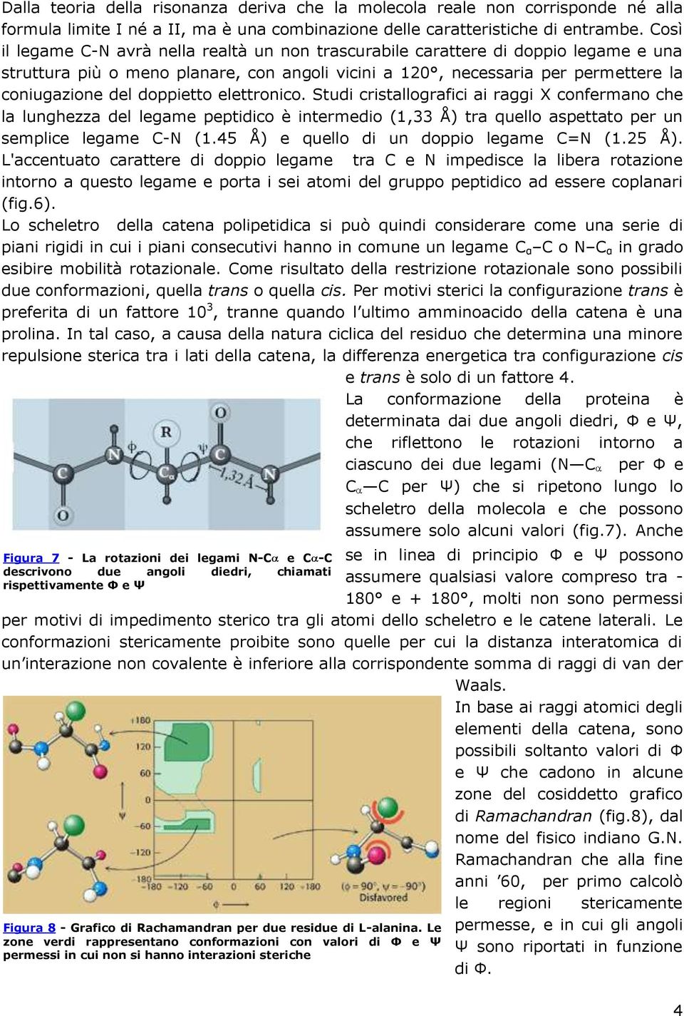 doppietto elettronico. Studi cristallografici ai raggi X confermano che la lunghezza del legame peptidico è intermedio (1,33 Å) tra quello aspettato per un semplice legame C-N (1.