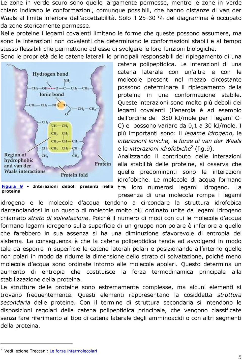 Nelle proteine i legami covalenti limitano le forme che queste possono assumere, ma sono le interazioni non covalenti che determinano le conformazioni stabili e al tempo stesso flessibili che