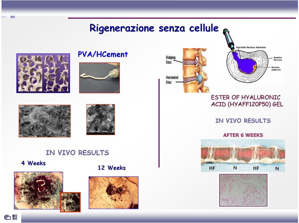 (HYAFF120P50) GEL IN VIVO RESULTS