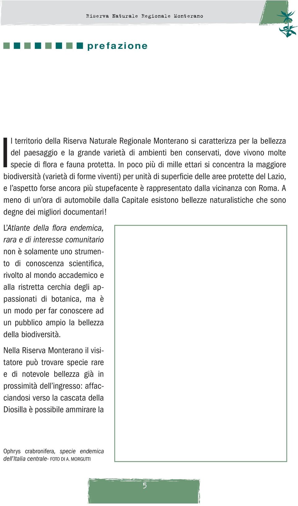 In poco più di mille ettari si concentra la maggiore biodiversità (varietà di forme viventi) per unità di superficie delle aree protette del Lazio, e l aspetto forse ancora più stupefacente è