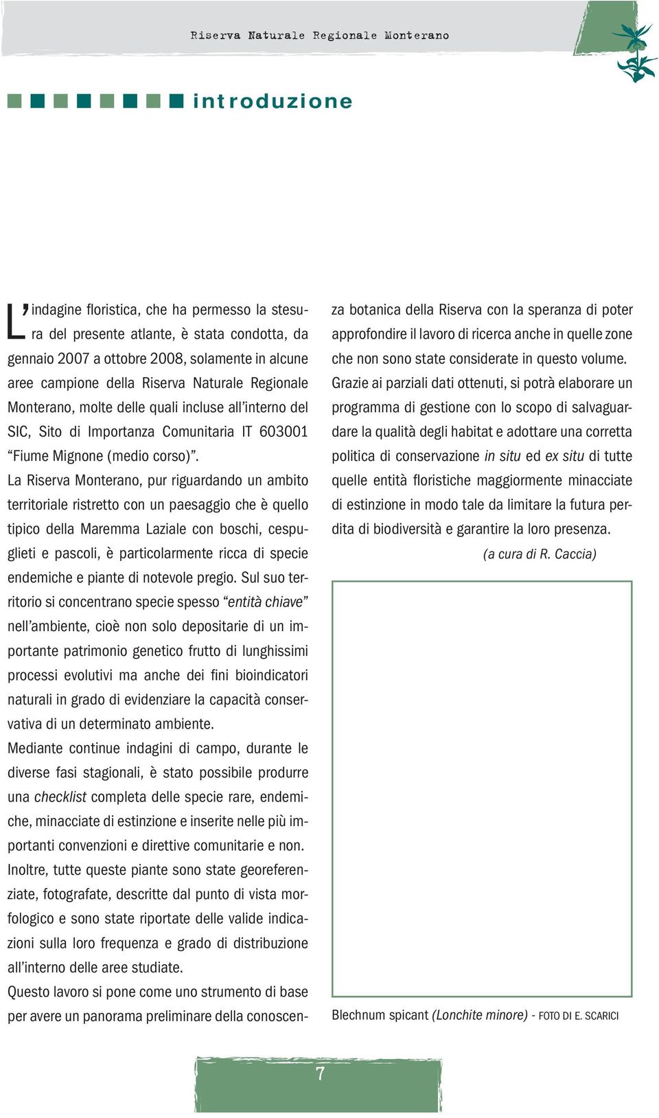 La Riserva Monterano, pur riguardando un ambito territoriale ristretto con un paesaggio che è quello tipico della Maremma Laziale con boschi, cespuglieti e pascoli, è particolarmente ricca di specie