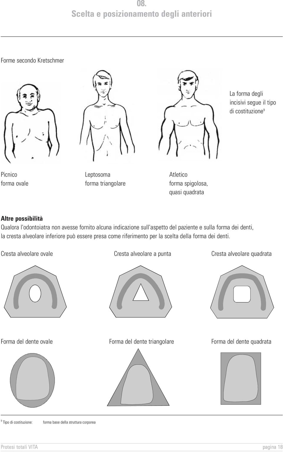 forma dei denti, la cresta alveolare inferiore può essere presa come riferimento per la scelta della forma dei denti.