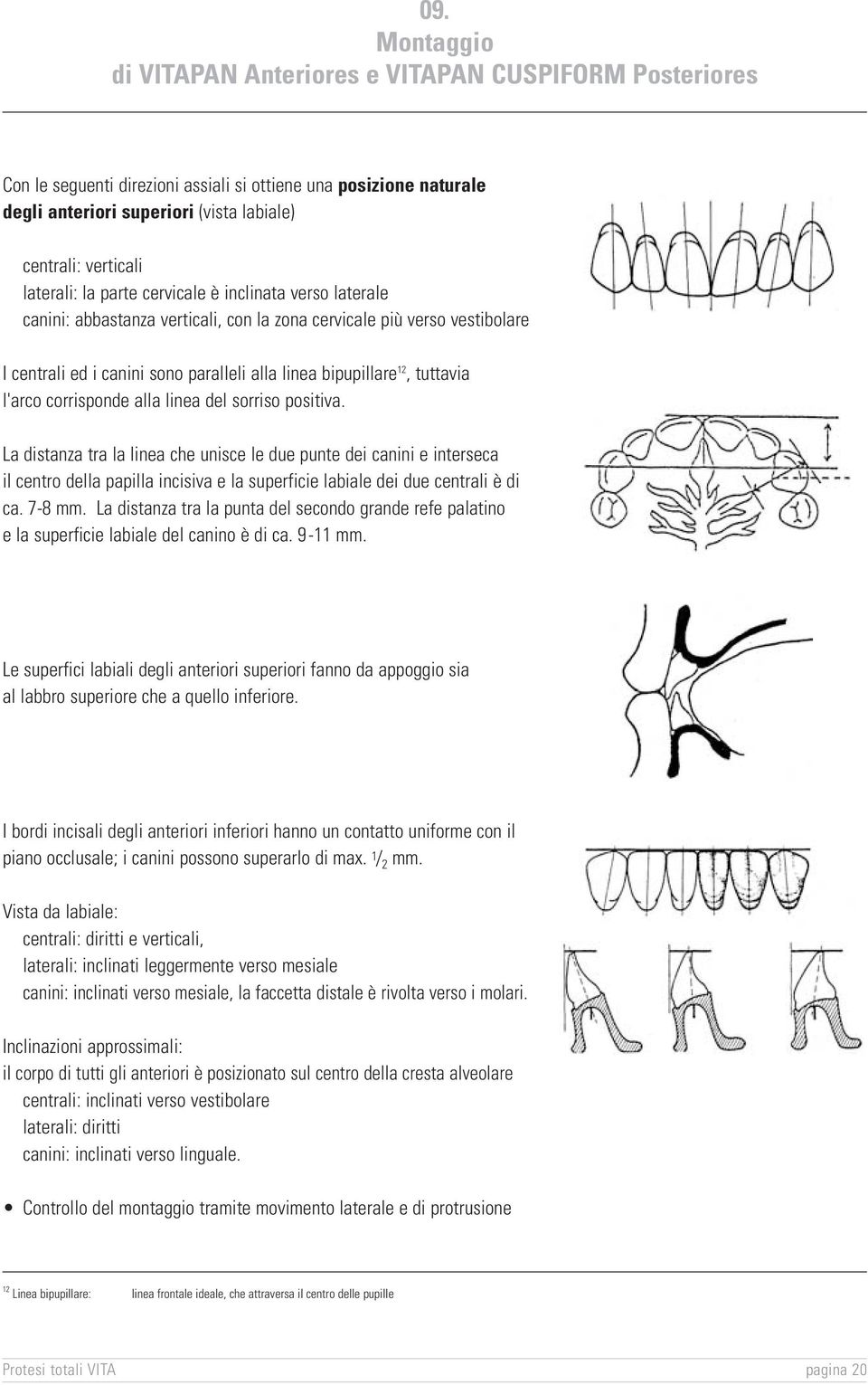 tuttavia l'arco corrisponde alla linea del sorriso positiva.