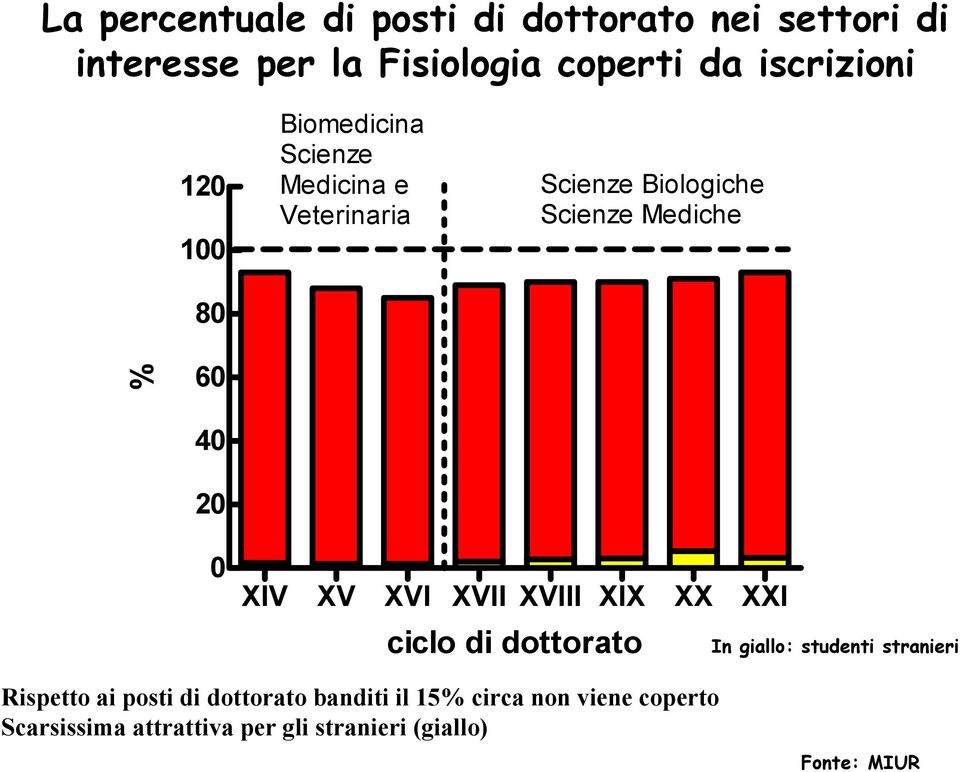 XIV XV XVI XVII XVIII XIX XX XXI ciclo di dottorato In giallo: studenti stranieri Rispetto ai posti di