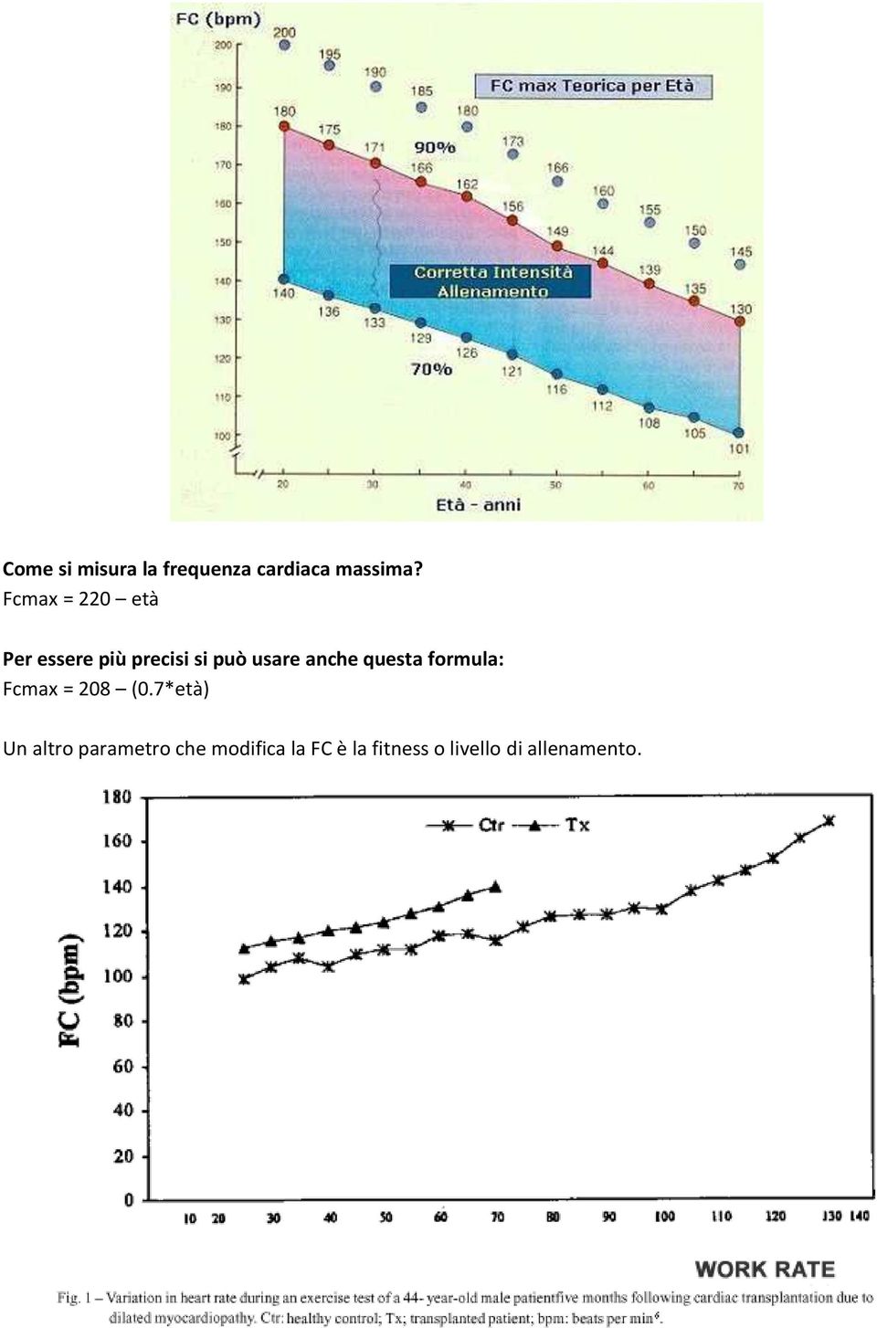 anche questa formula: Fcmax = 208 (0.