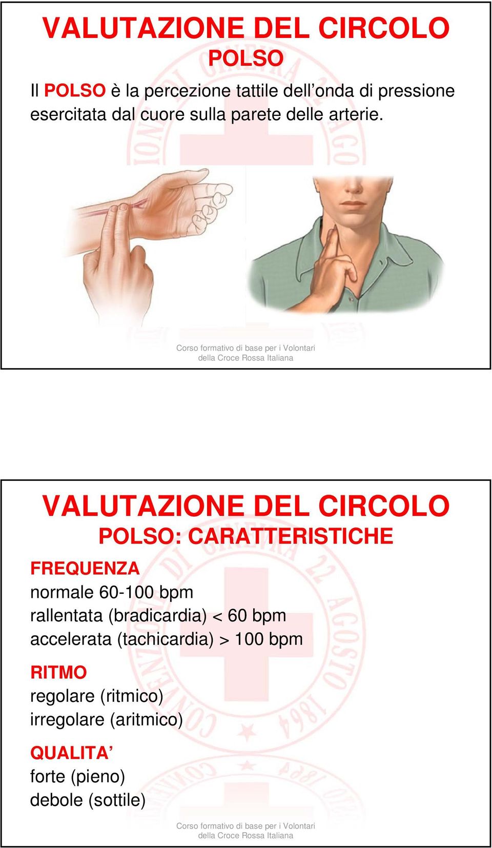 VALUTAZIONE DEL CIRCOLO POLSO: CARATTERISTICHE FREQUENZA normale 60-100 bpm rallentata