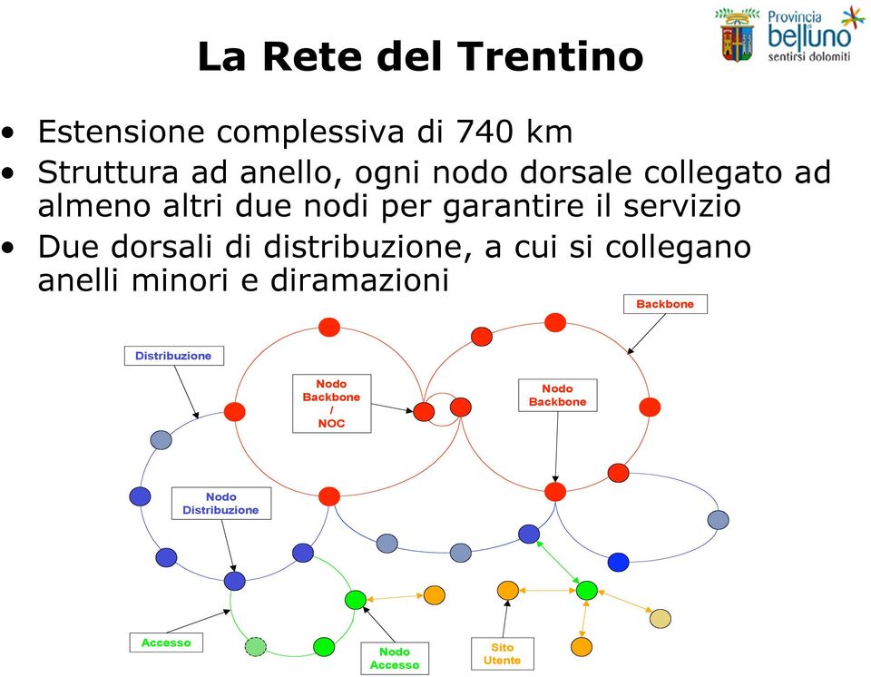 distribuzione, a cui si collegano anelli minori e diramazioni Backbone Distribuzione