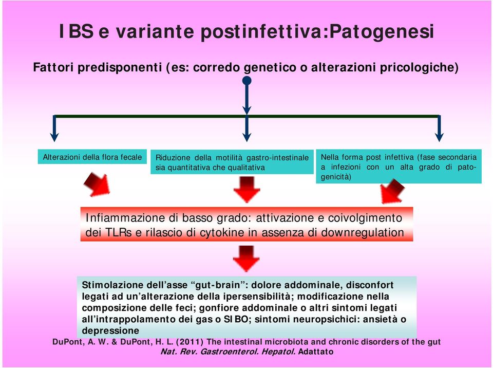 di cytokine in assenza di downregulation Stimolazione dell asse gut-brain : dolore addominale, disconfort legati ad un alterazione della ipersensibilità; modificazione nella composizione delle feci;