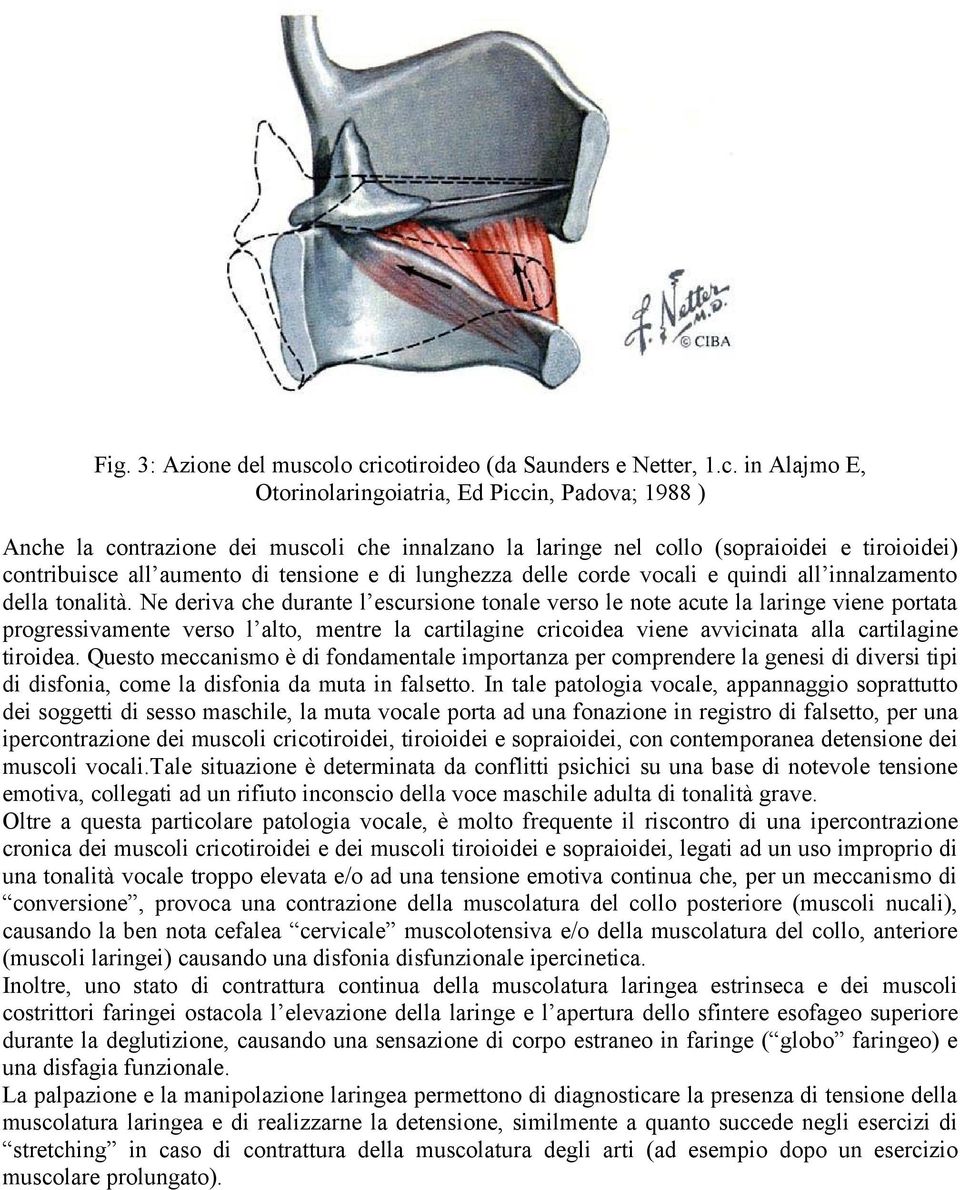 tiroioidei) contribuisce all aumento di tensione e di lunghezza delle corde vocali e quindi all innalzamento della tonalità.