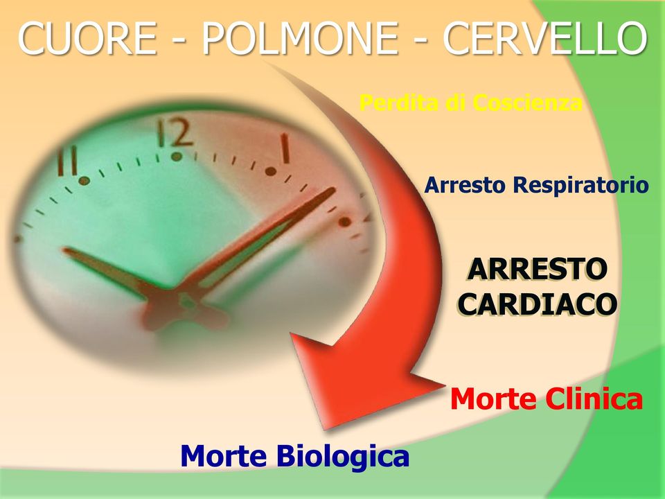 Respiratorio ARRESTO