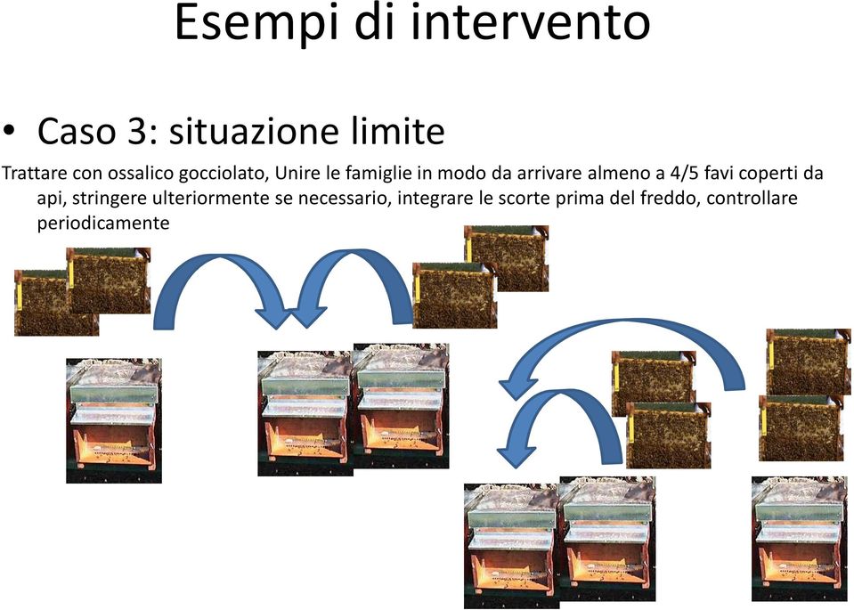 almeno a 4/5 favi coperti da api, stringere ulteriormente se