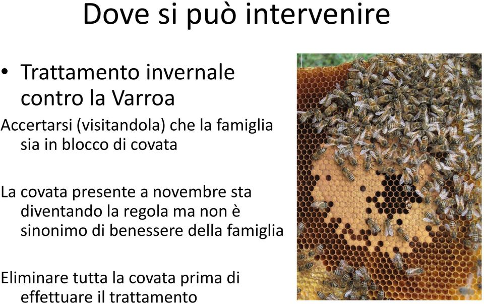 covata presente a novembre sta diventando la regola ma non è sinonimo di