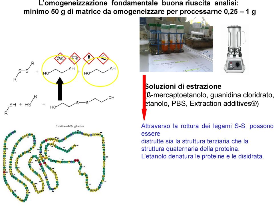 Extraction additives ) Attraverso la rottura dei legami S-S, possono essere distrutte sia la