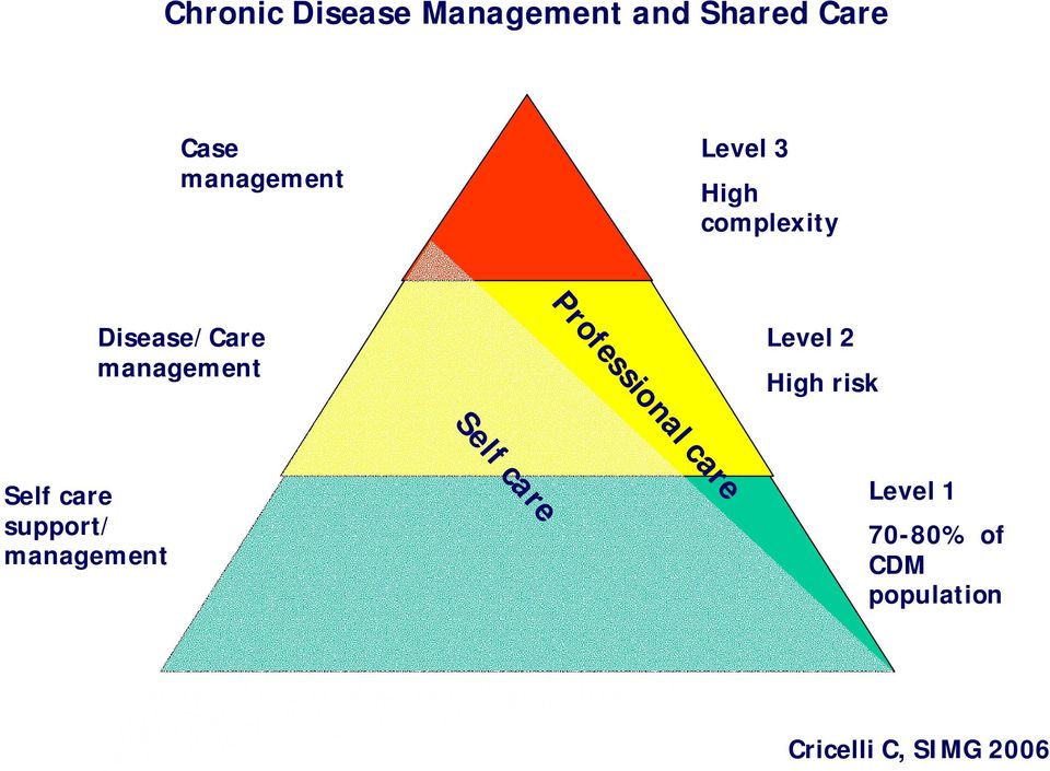 management Level 2 High risk Self care Self care support/