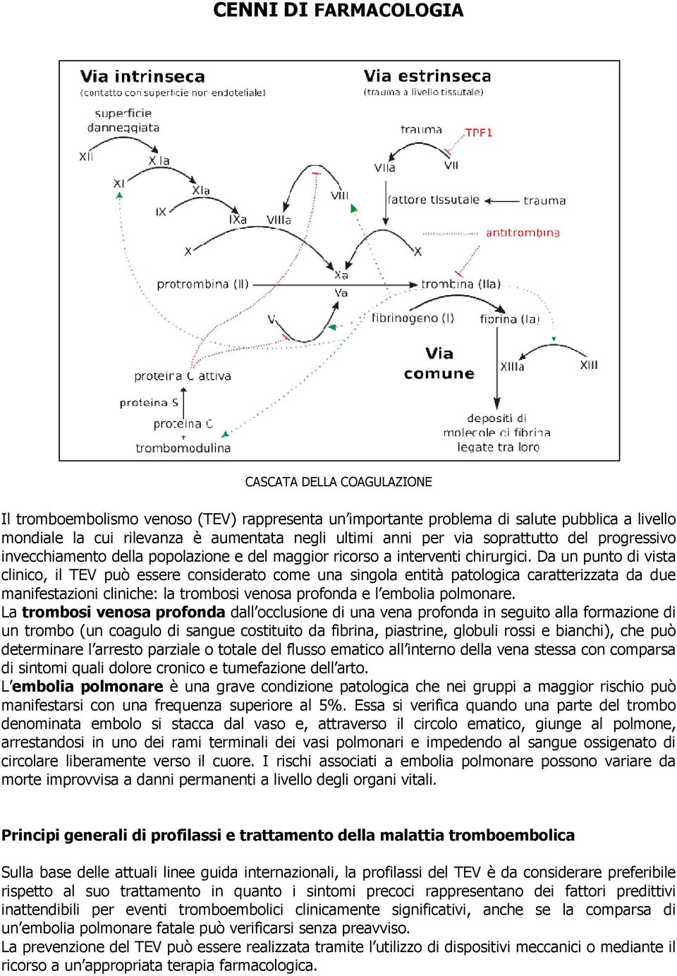 Da un punto di vista clinico, il TEV può essere considerato come una singola entità patologica caratterizzata da due manifestazioni cliniche: la trombosi venosa profonda e l embolia polmonare.