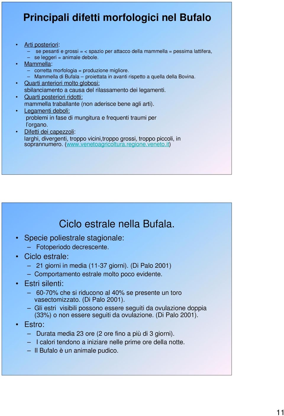 Quarti anteriori molto globosi: sbilanciamento a causa del rilassamento dei legamenti. Quarti posteriori ridotti: mammella traballante (non aderisce bene agli arti).