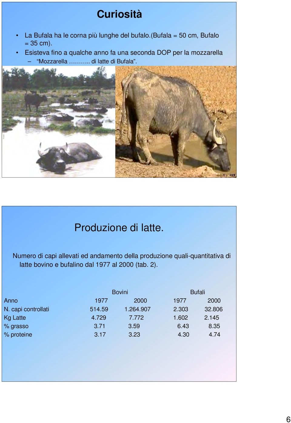 Numero di capi allevati ed andamento della produzione quali-quantitativa di latte bovino e bufalino dal 1977 al 2000 (tab. 2).