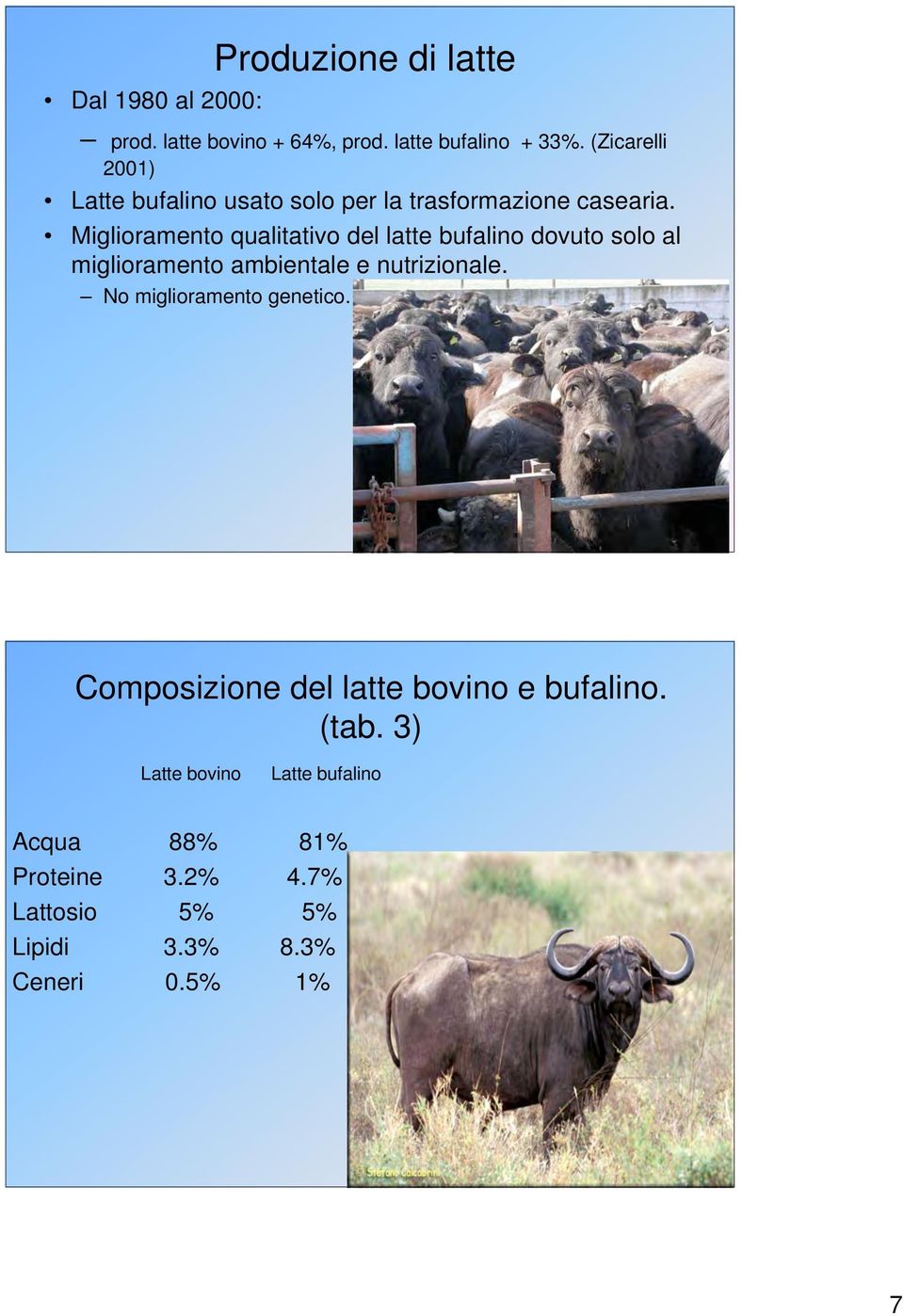 Miglioramento qualitativo del latte bufalino dovuto solo al miglioramento ambientale e nutrizionale.