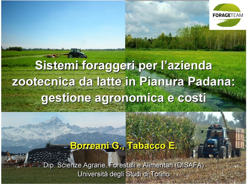 Dip. Scienze Scienze Agrarie, Agrarie, Forestali Forestali ee Alimentari