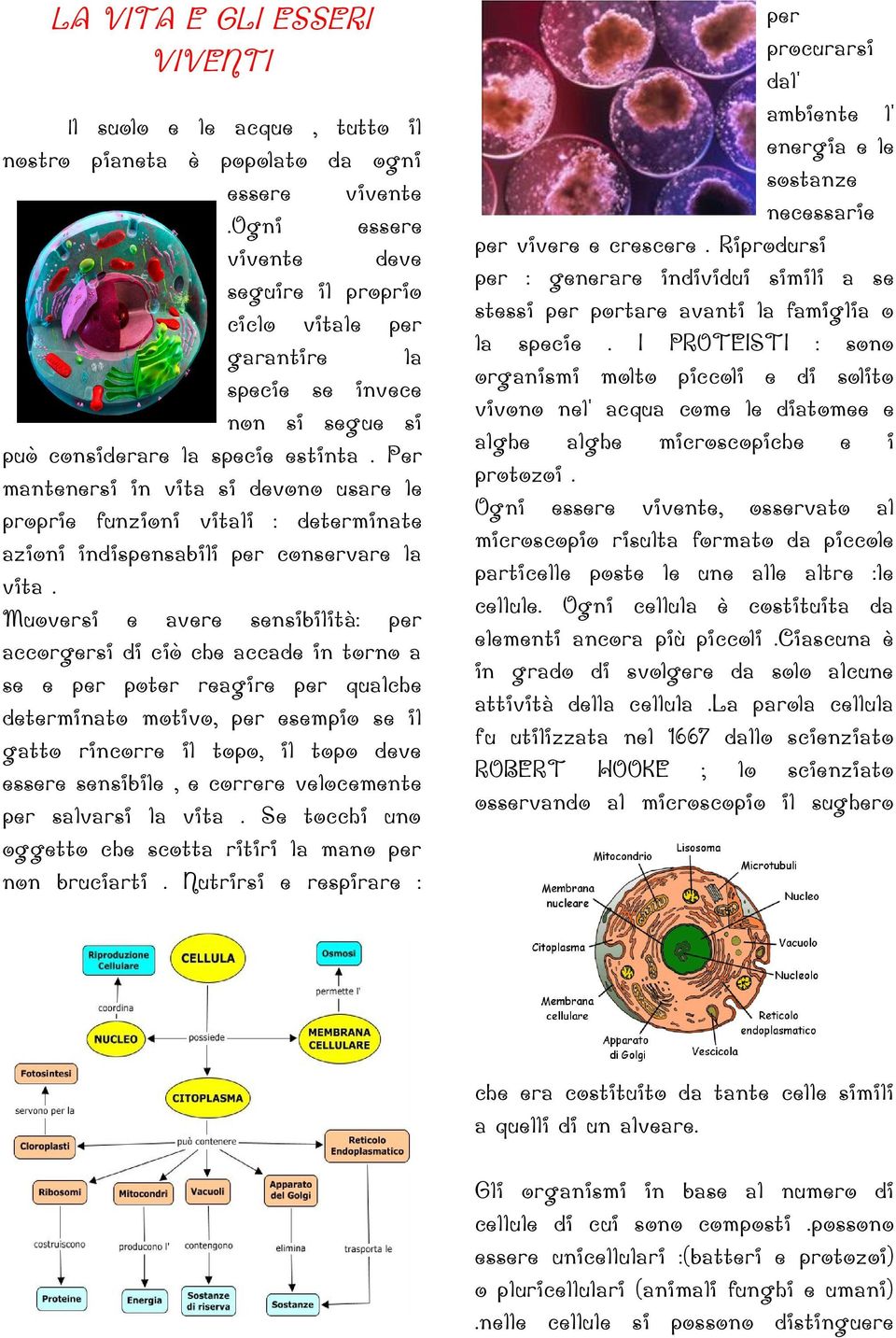 Per mantenersi in vita si devono usare le proprie funzioni vitali : determinate azioni indispensabili per conservare la vita.