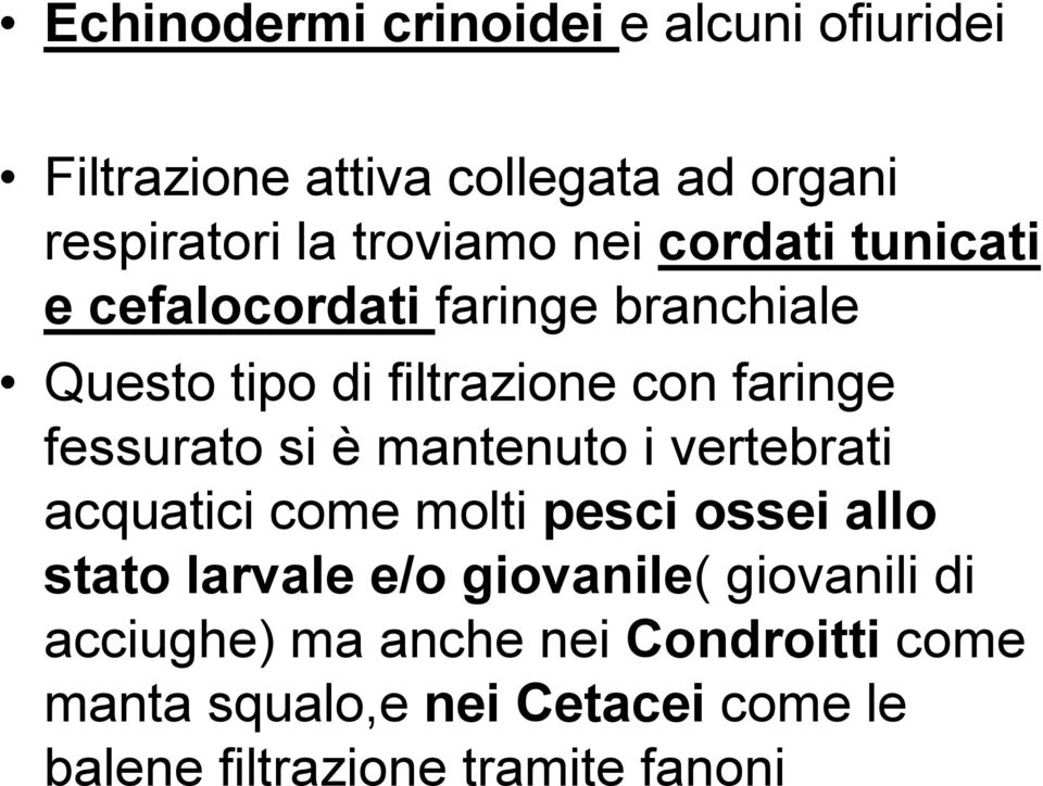 si è mantenuto i vertebrati acquatici come molti pesci ossei allo stato larvale e/o giovanile( giovanili