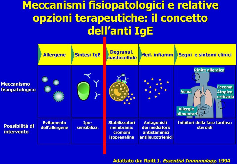 infiamm Segni e sintomi clinici Rinite allergica Meccanismo fisiopatologico Asma Eczema Atopico orticaria Allergie alimentari