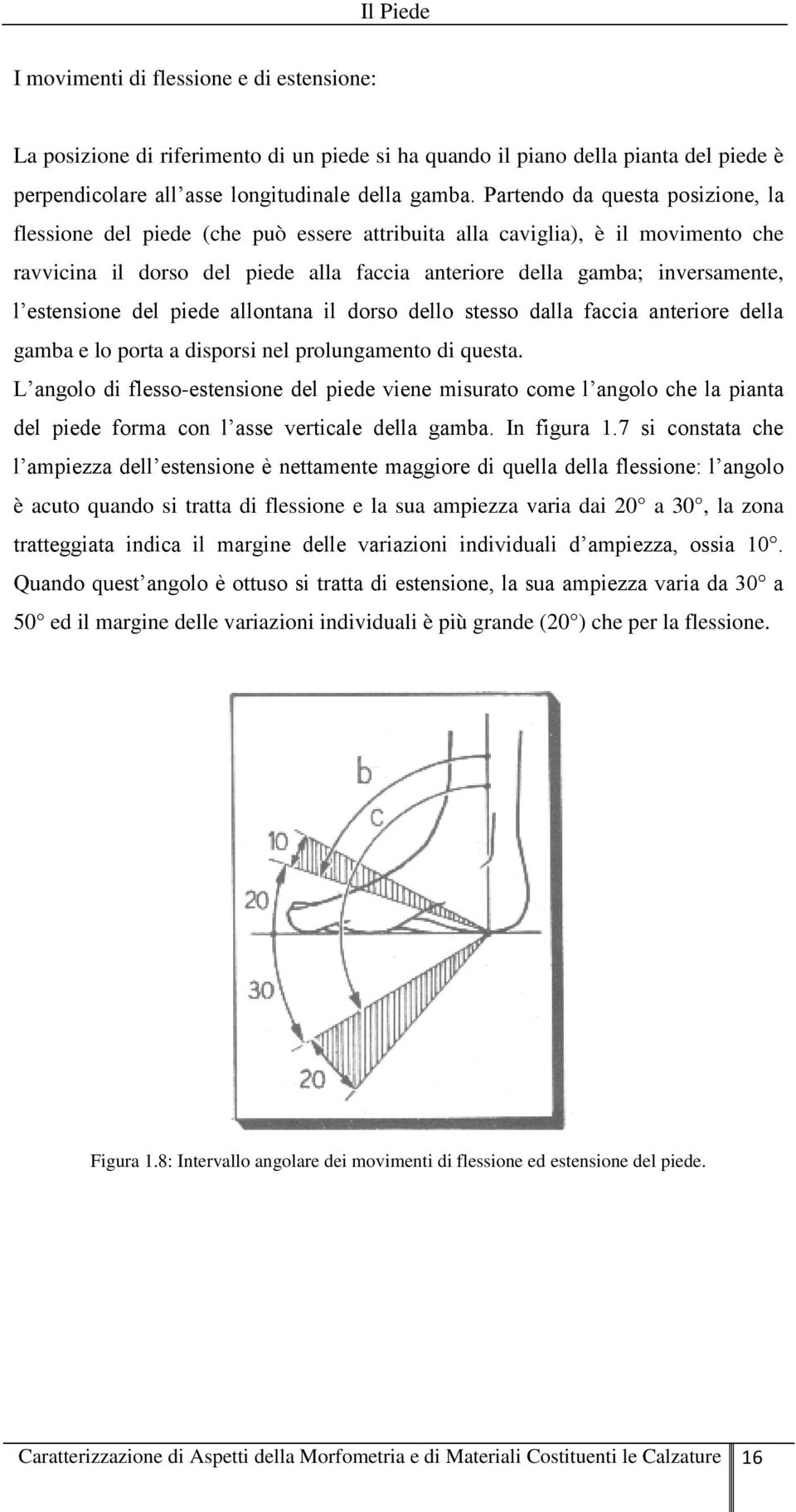 estensione del piede allontana il dorso dello stesso dalla faccia anteriore della gamba e lo porta a disporsi nel prolungamento di questa.