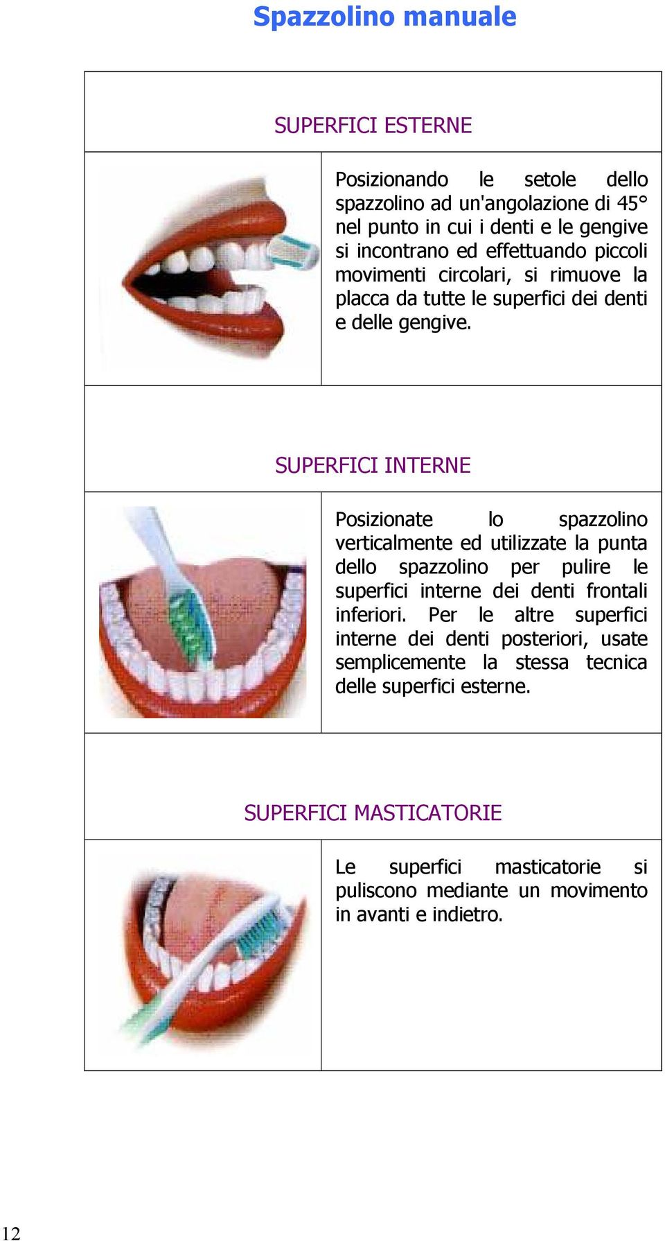 SUPERFICI INTERNE Posizionate lo spazzolino verticalmente ed utilizzate la punta dello spazzolino per pulire le superfici interne dei denti frontali inferiori.