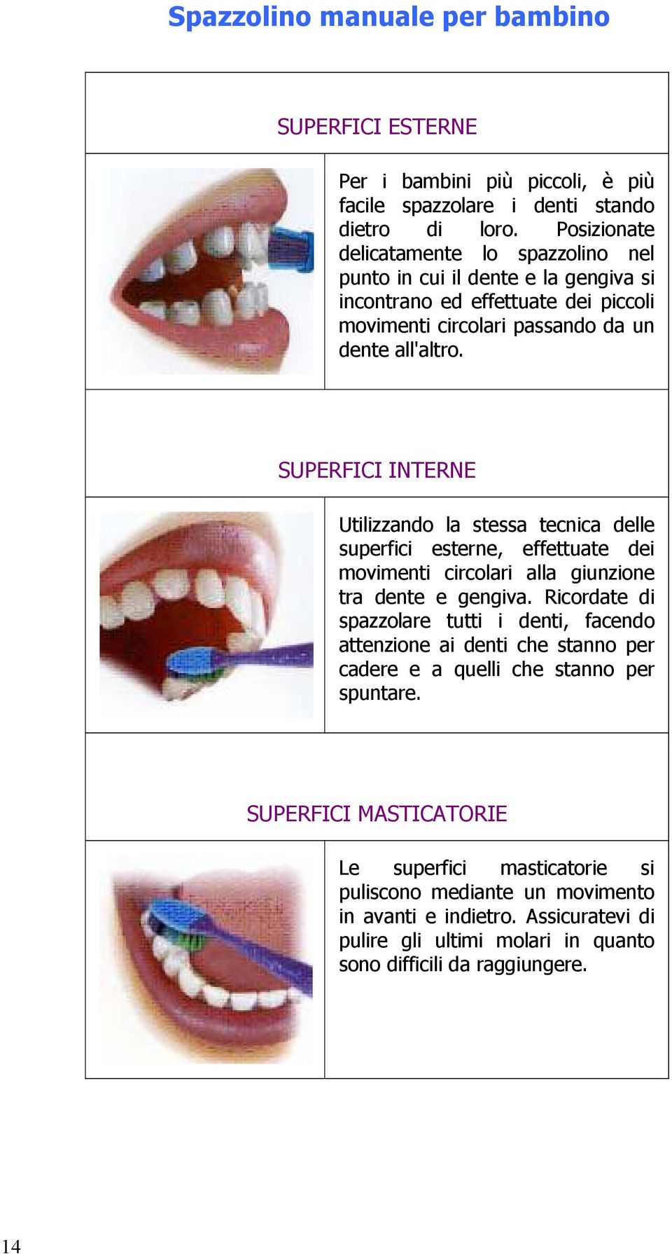 SUPERFICI INTERNE Utilizzando la stessa tecnica delle superfici esterne, effettuate dei movimenti circolari alla giunzione tra dente e gengiva.