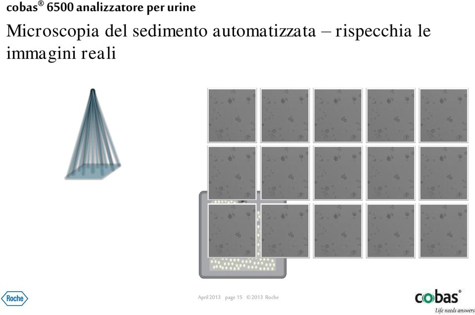 automatizzata