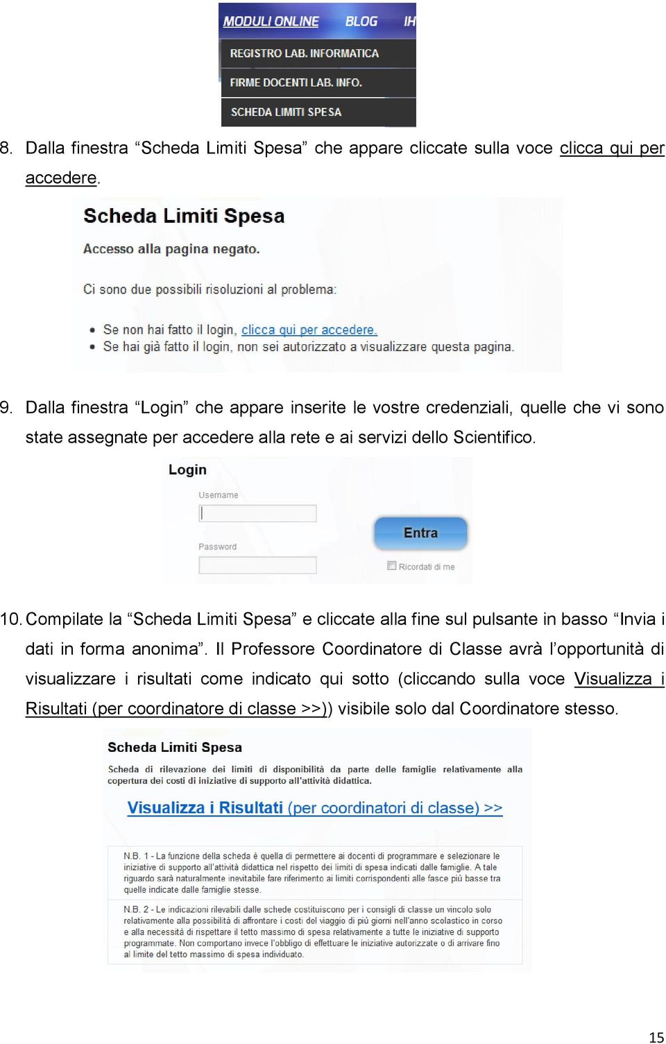 Scientifico. 10. Compilate la Scheda Limiti Spesa e cliccate alla fine sul pulsante in basso Invia i dati in forma anonima.