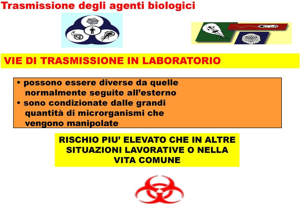 condizionate dalle grandi quantità di microrganismi che vengono