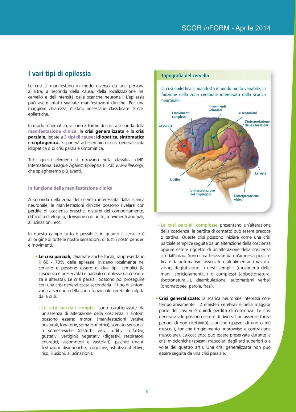 In modo schematico, vi sono 2 forme di crisi, a seconda della manifestazione clinica, la crisi generalizzata e la crisi parziale, legate a 3 tipi di cause: idiopatica, sintomatica e criptogenica.