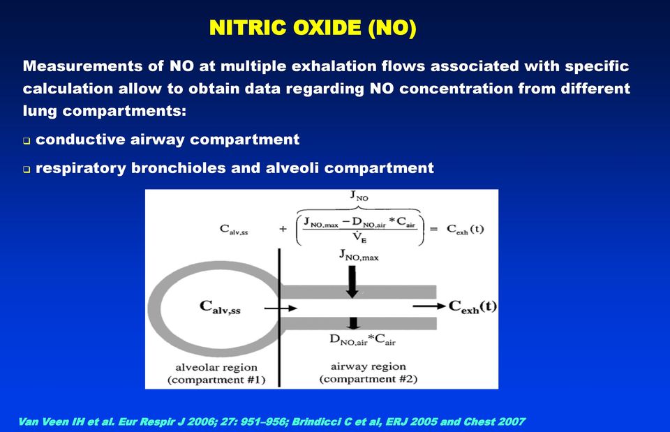 compartments: conductive airway compartment respiratory bronchioles and alveoli