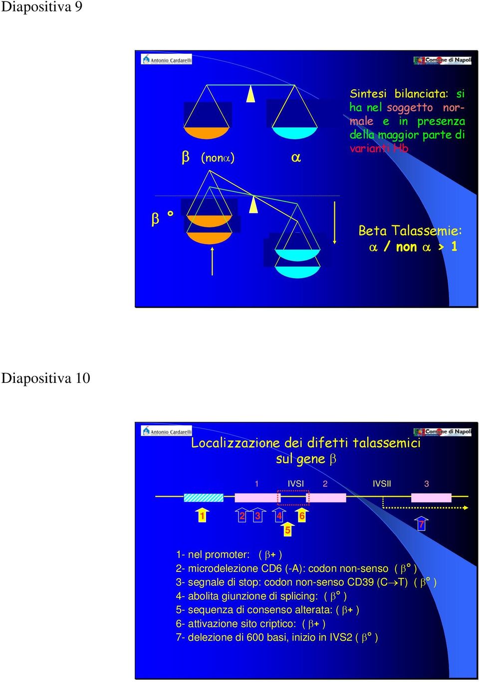 promoter: ( β+ ) 2- microdelezione CD6 (-A): codon non-senso ( β ) 3- segnale di stop: codon non-senso CD39 (C T) ( β ) 4- abolita